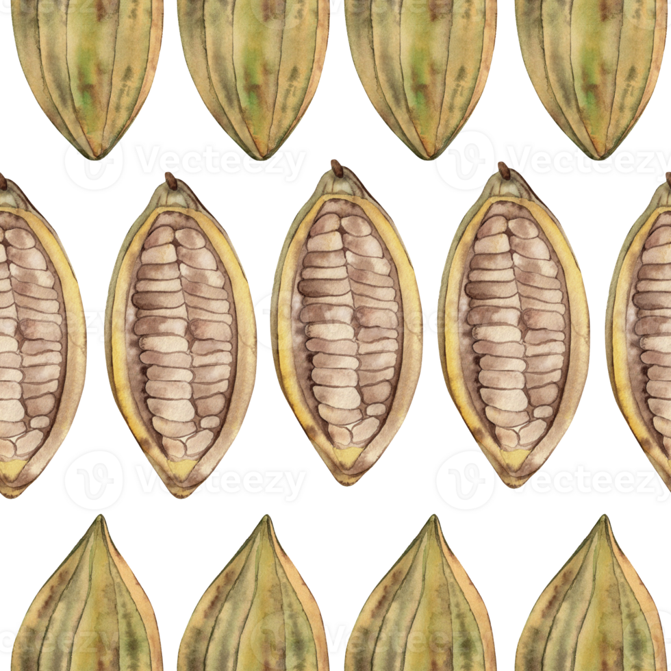 Seamless pattern featuring whole and halved cocoa beans. Hand-painted watercolor in botanical style with earthy tones of yellow, green, and brown. Ideal for fabric, wallpaper, and textile design png