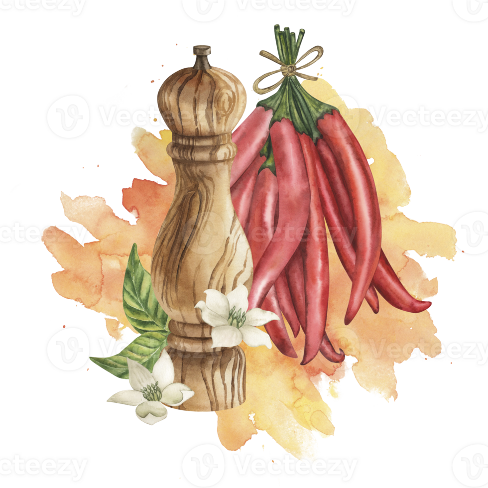 Watercolor illustration of a wooden mill for spices with red chili pepper, green leaves and white flowers on a yellow, orange background of spray. For design menu, kitchen decor or culinary design png