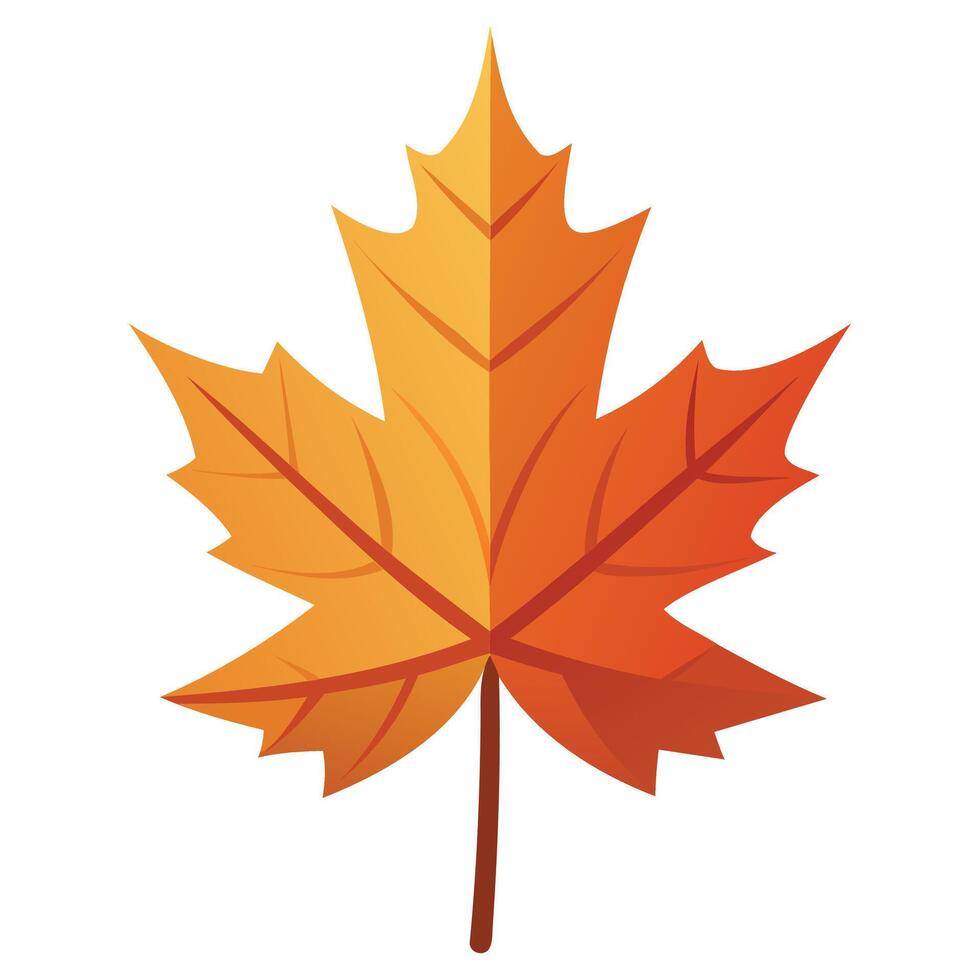 Decorative Maple Leaf Collection vector