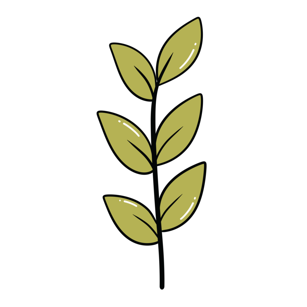 Green leaf clipart png
