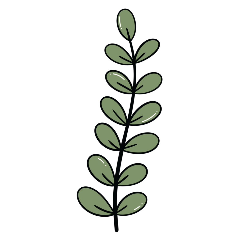 Spring leaf illustration png