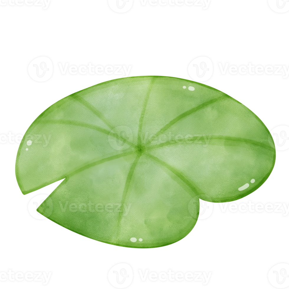 Lotus Leaf Clip Art in Soft Green png