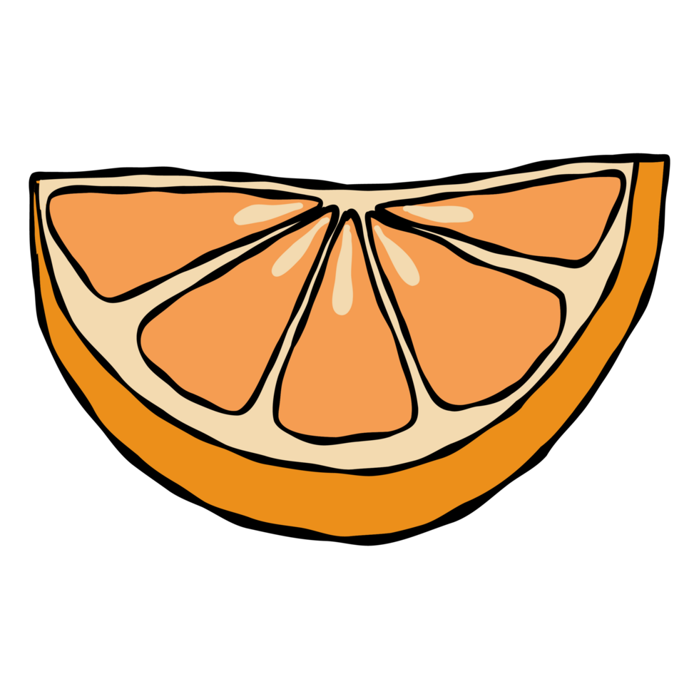 Orange slice clipart cute fruit summer color bright hand drawn illustration png