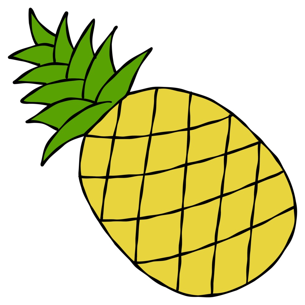 Pineapple clipart cute fruit summer color bright hand drawn illustration png