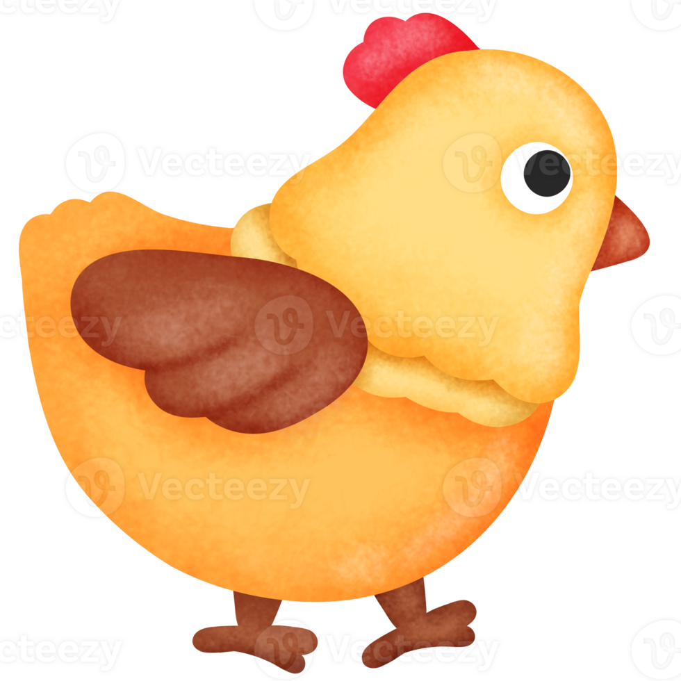 Illustration of Cartoon Chicken png