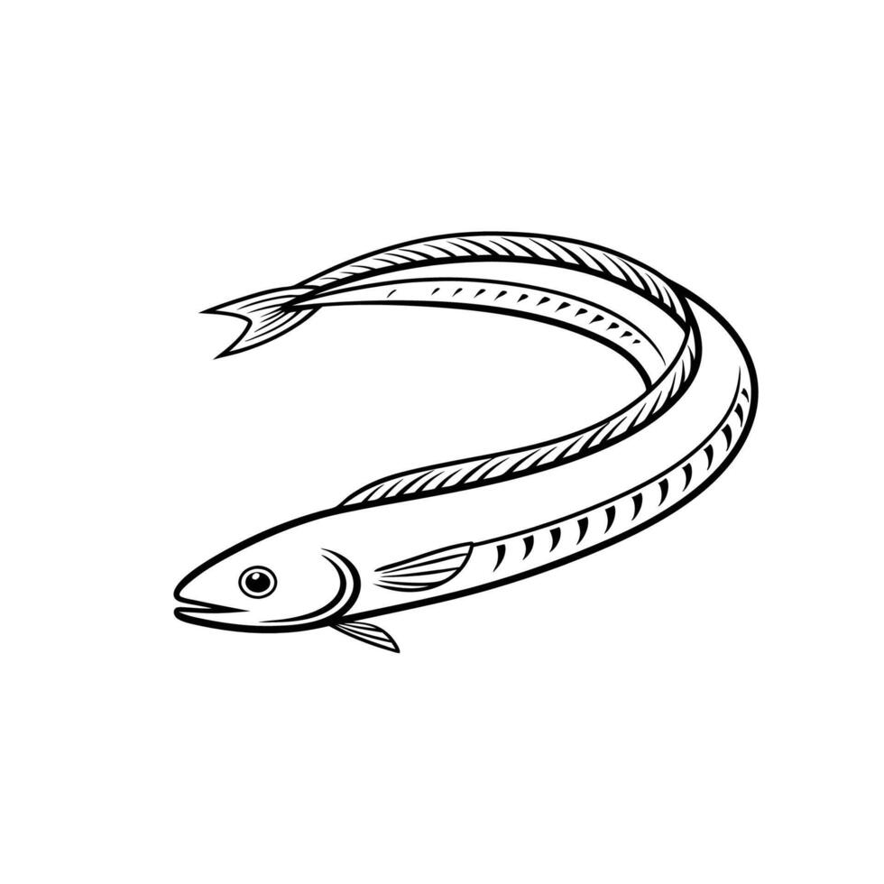 Aquatic Serpent Eel Simple Line Art vector