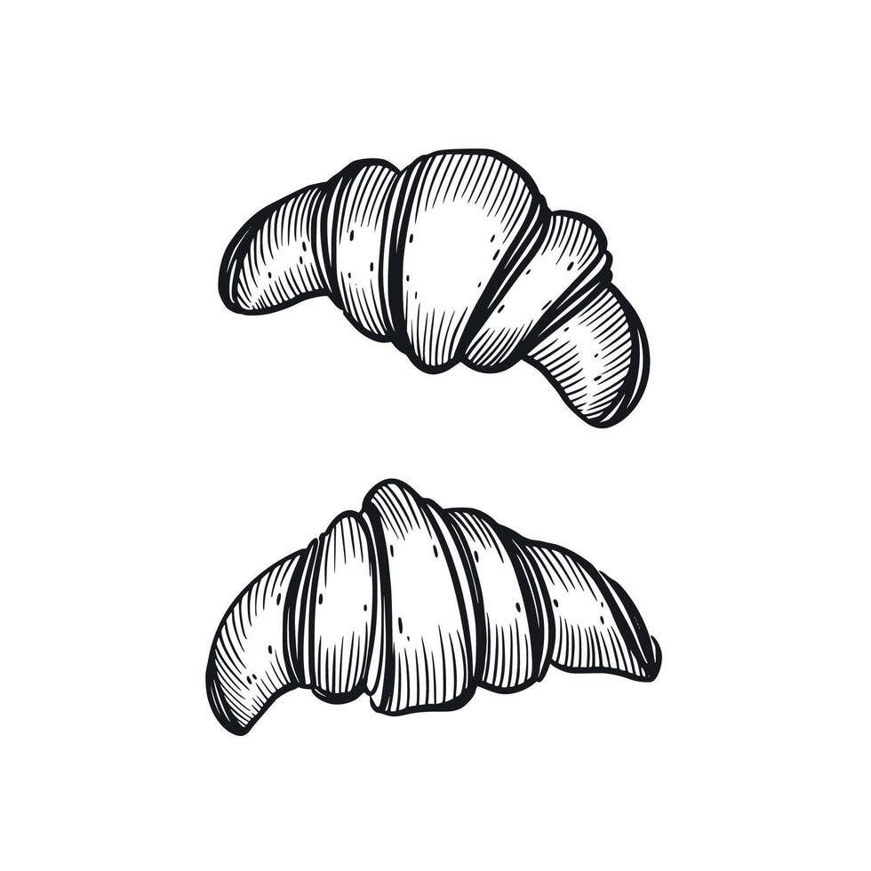 Set of illustrations, pastries, French croissants hand drawn in . illustration. Suitable for printing on product packaging, pastries, for bakery design vector