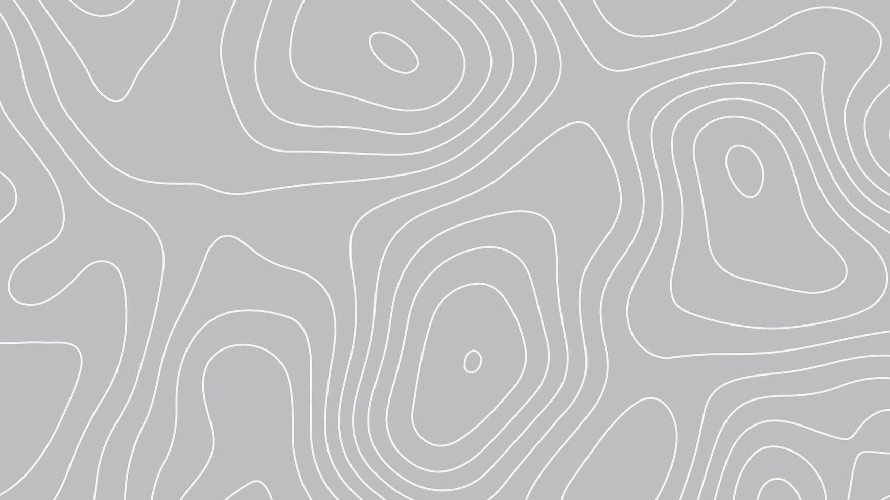Gray Topographic Contour Map Background. Abstract Terrain Lines in Monochrome Design vector