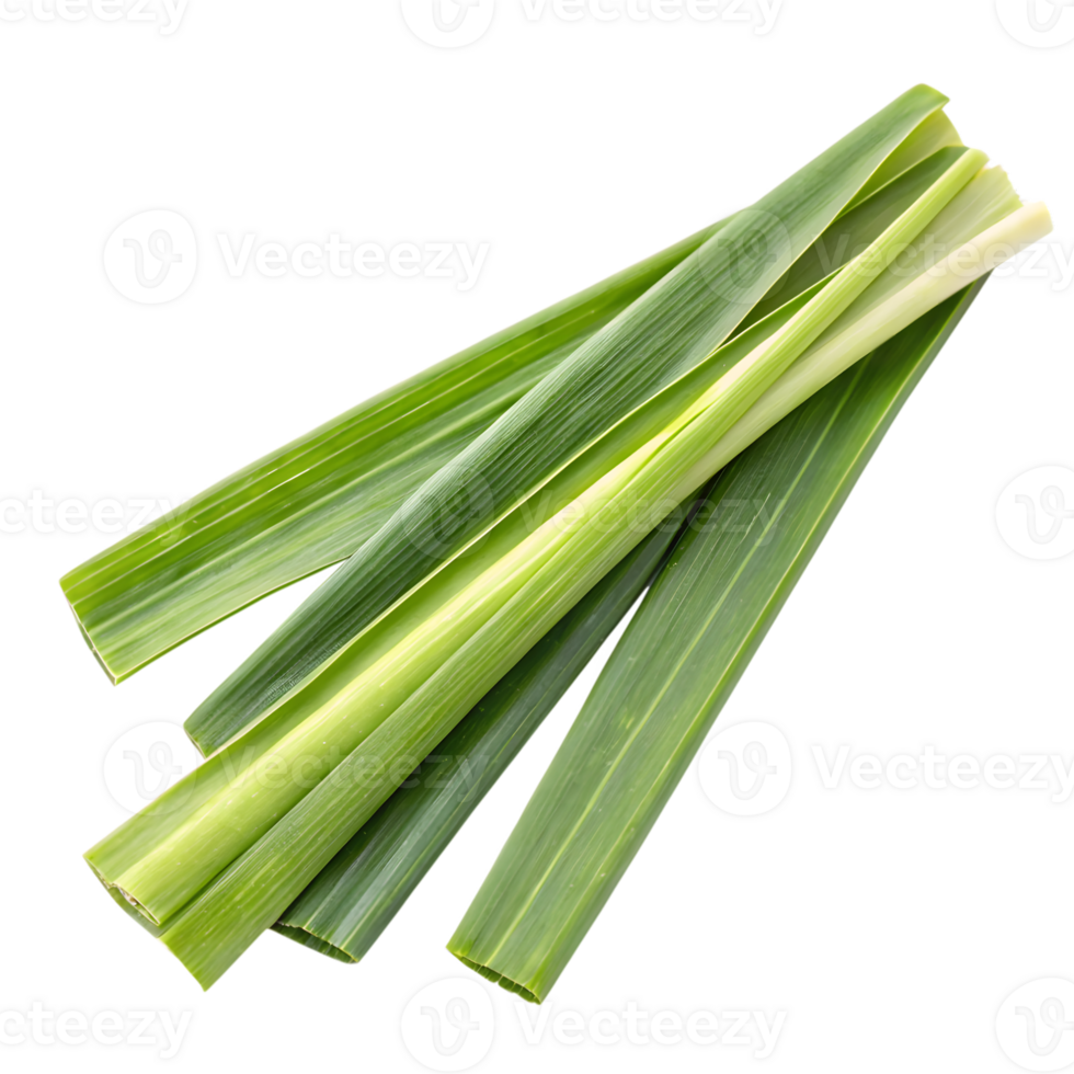Fresh Aromatic Lemongrass Stalks on Transparent Background png