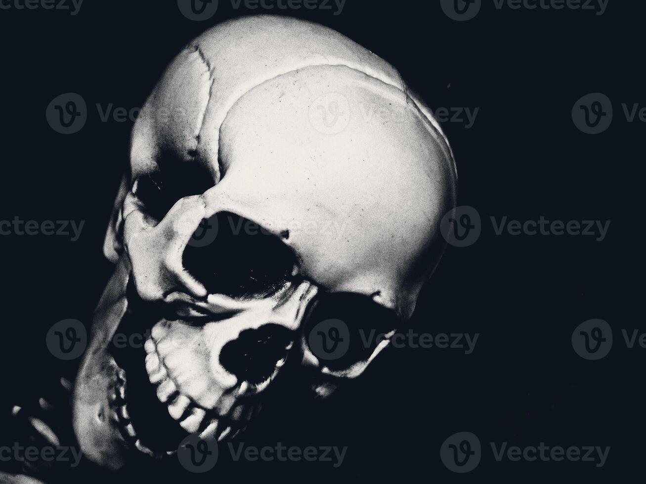 White Skull on Black Background with Grain and Space for Text in Vintage Style for Halloween Concept. photo