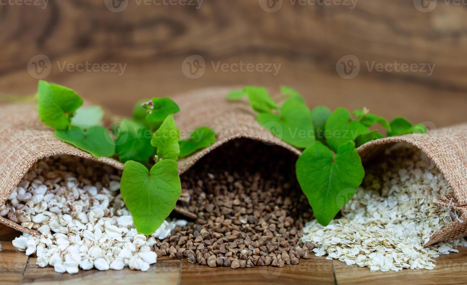 three jute sack with buckwheat Fagopyrum esculentum photo