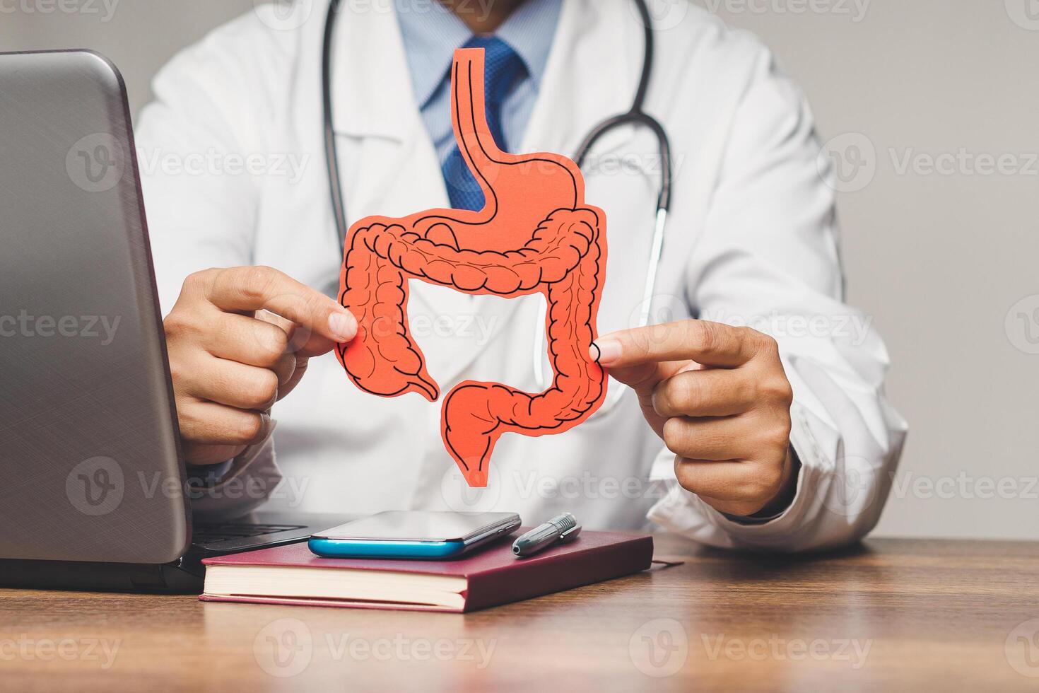 Doctor in a white coat holding an intestine symbol while sitting at the table in the hospital photo