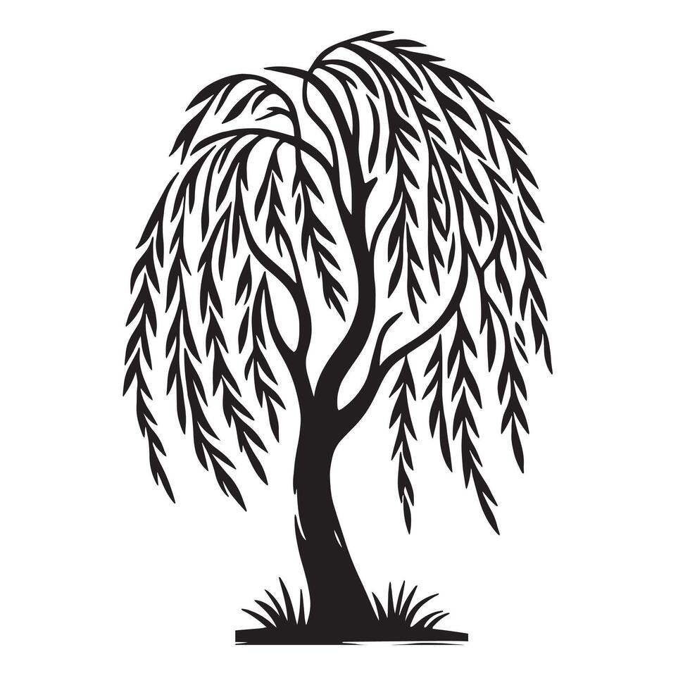 Willow Tree of Life vector