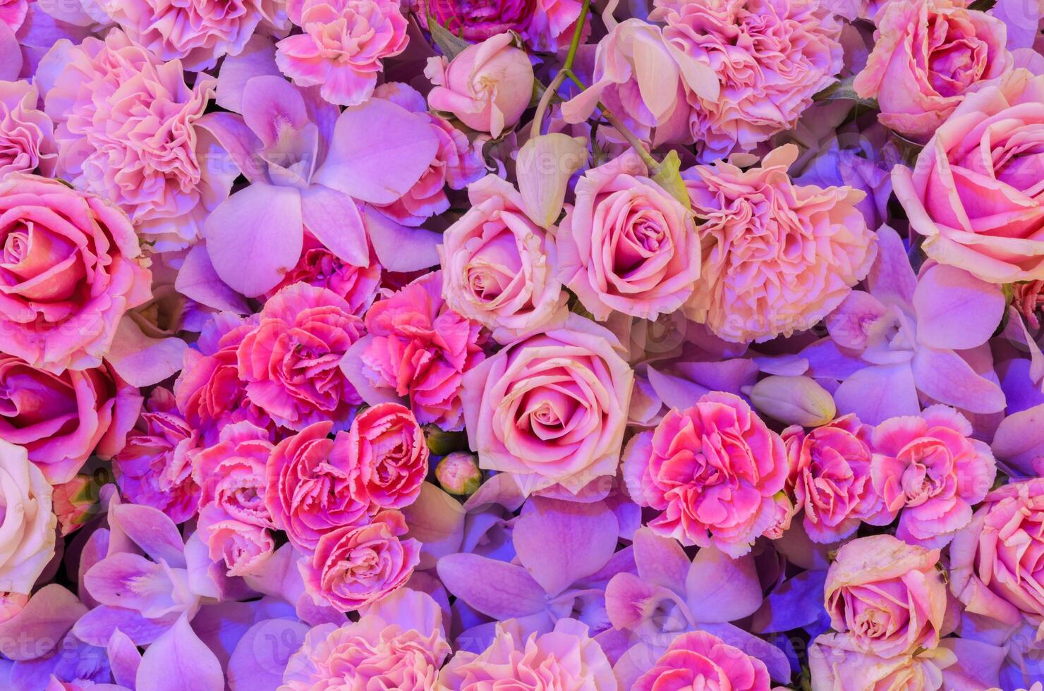 Pink flower background of rose, carnation and orchid photo