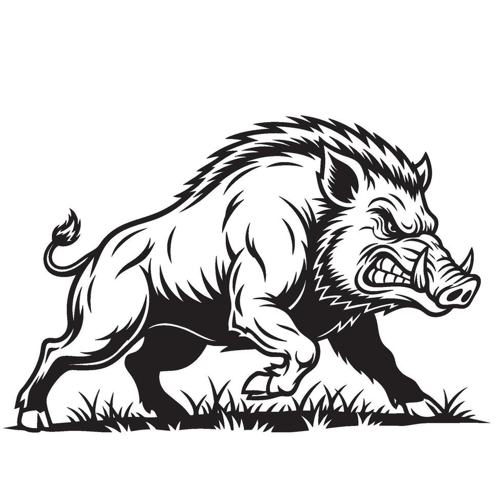 Fierce black and white of an angry wild boar charging through grass, showing sharp tusks and powerful muscles. Ideal for logos, tattoos, and designs. Animal. vector