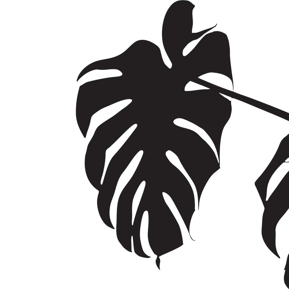 Monstera Leaf Silhouette Isolated on White Background vector