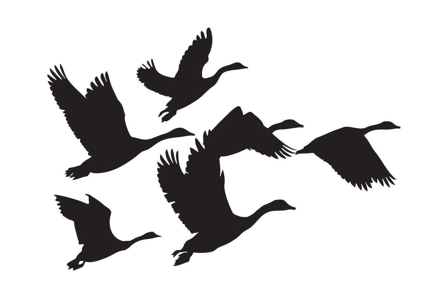 Silhouette Flock of Wild Geese Flying in Formation Isolated on White Background vector