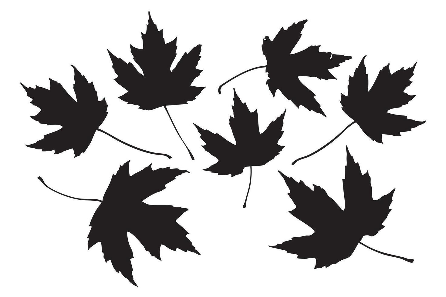 Black Silhouette Maple Leaves Illustration on White Background vector
