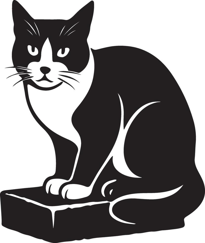 Cat sitting on block illustration, Black white cat in resting position vector