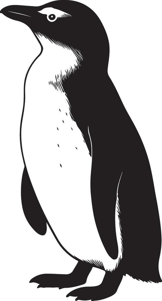 Penguin illustration black and white elegant style, Standing penguin minimal drawing vector