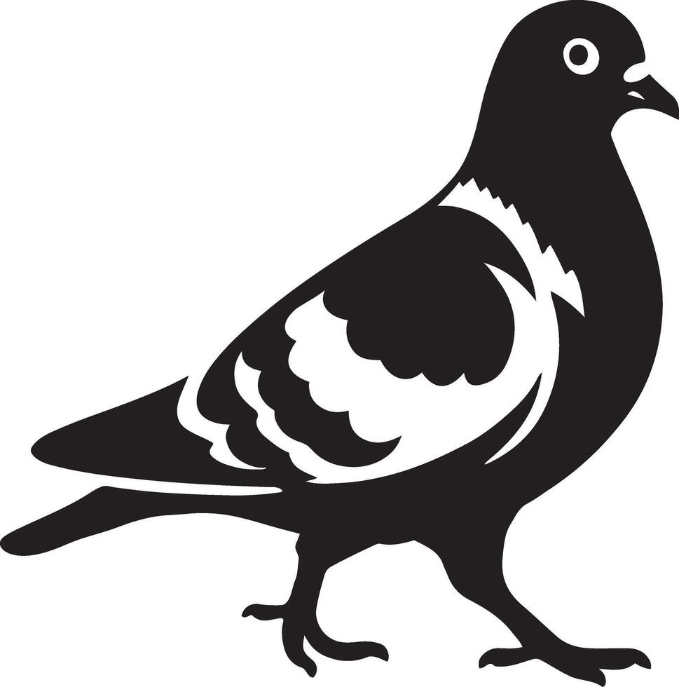 Pigeon silhouette simple black design, City bird clean line illustration vector