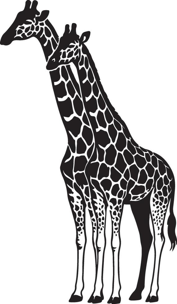 Two giraffes black and white silhouette pose, Tall animals wildlife scene illustration vector