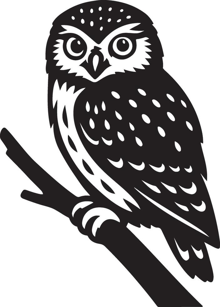 Owl perched on branch line drawing, Detailed bird in resting pose sketch vector