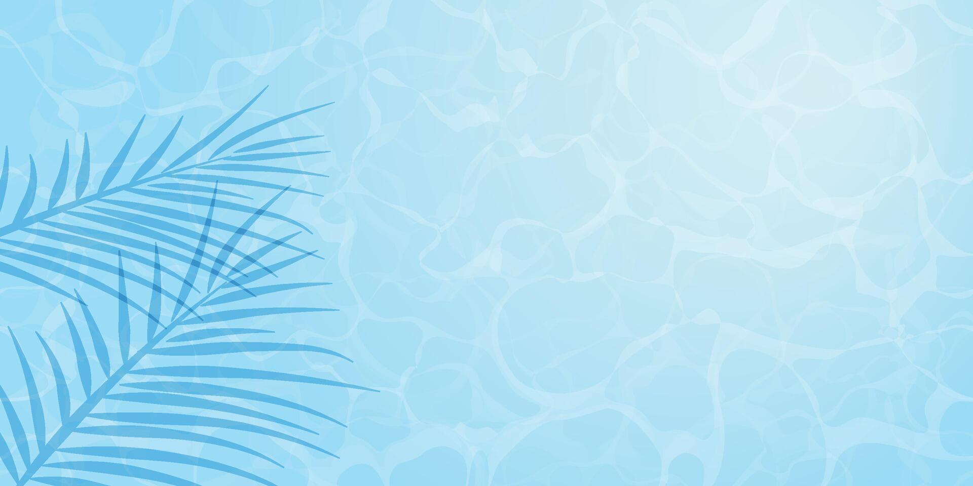 Summer banner design with exotic plam tree leaves shadow on blue ocean blue beach, Summer background vector