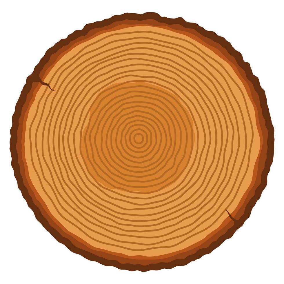 Tree trunk with ring illustration vector