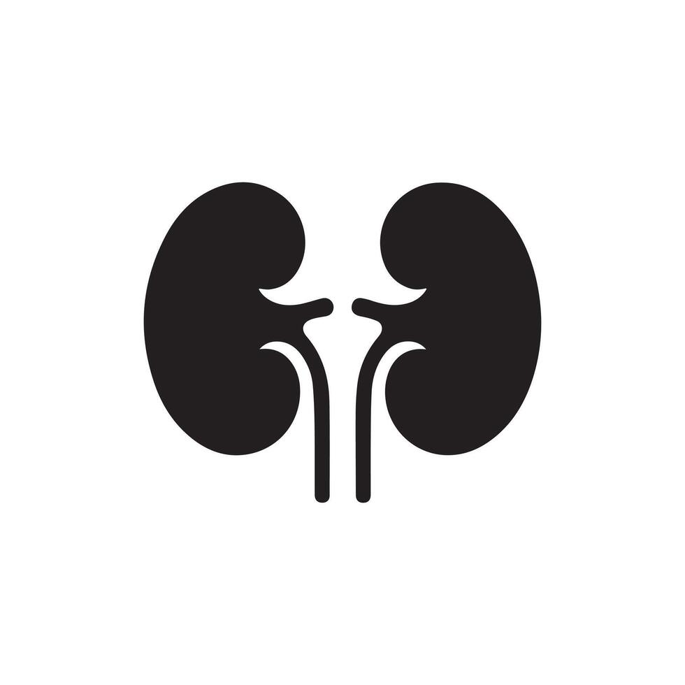 Human Kidney Icon Isolated on White Background vector