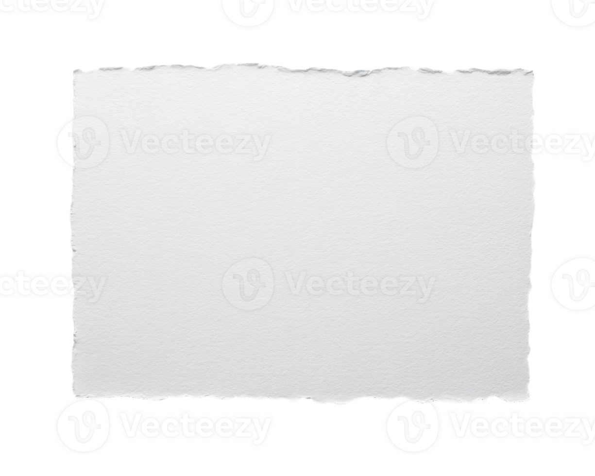 White Torn Paper Texture with Uneven Edges on Transparent Background png