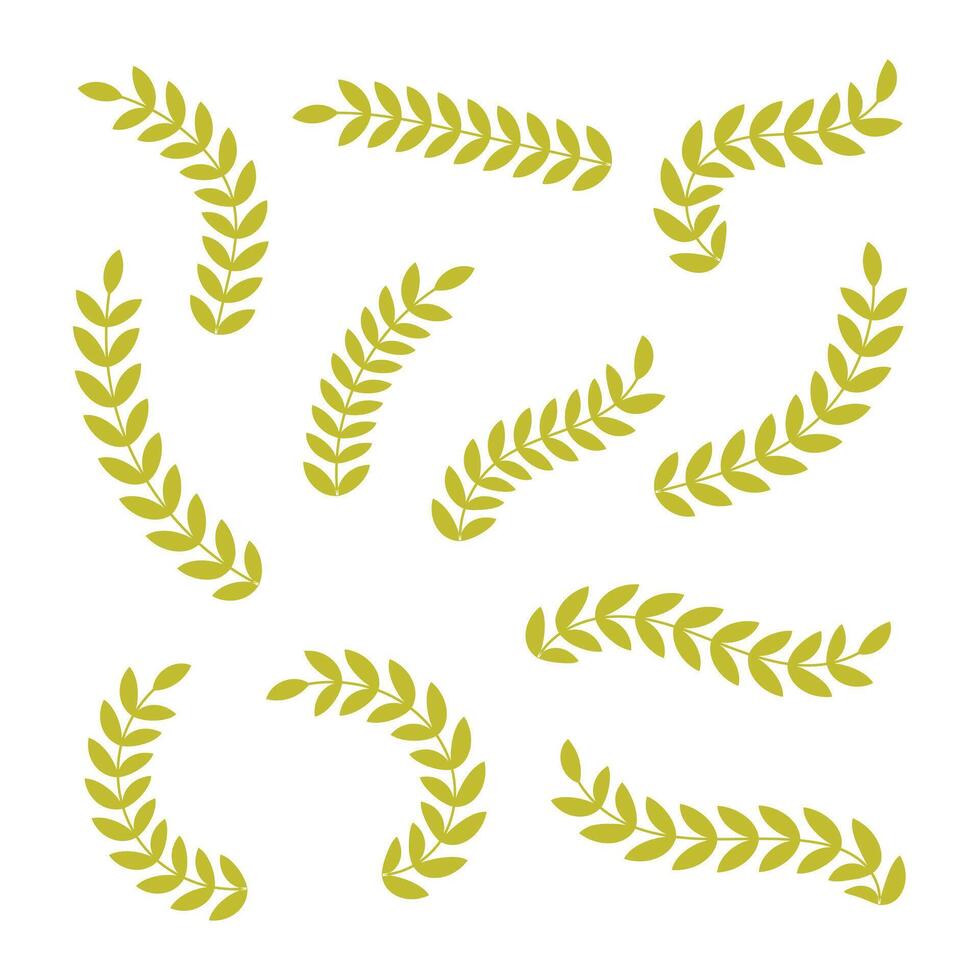 Laurel Leaf Collection Elements for Design vector