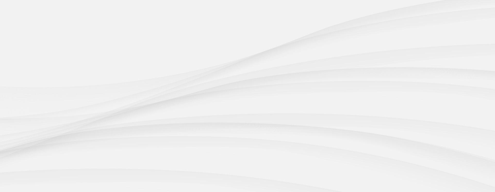 Abstract white gray wave background modern clean design concept grey curve line vector