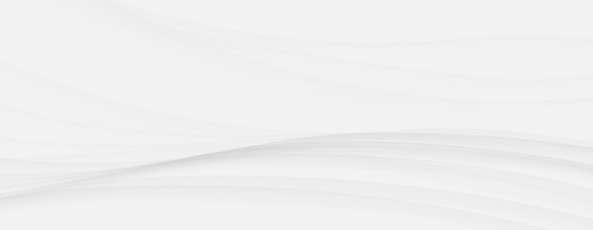 White abstract wave background elegant clean flowing lines modern minimalist light subtle curves vector