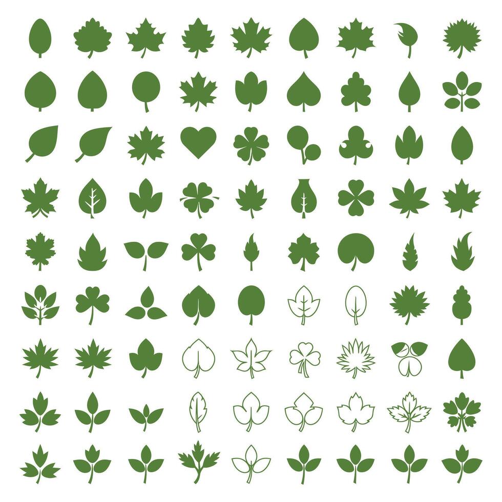 Variety of Green Leaf Shapes Elements for Design vector