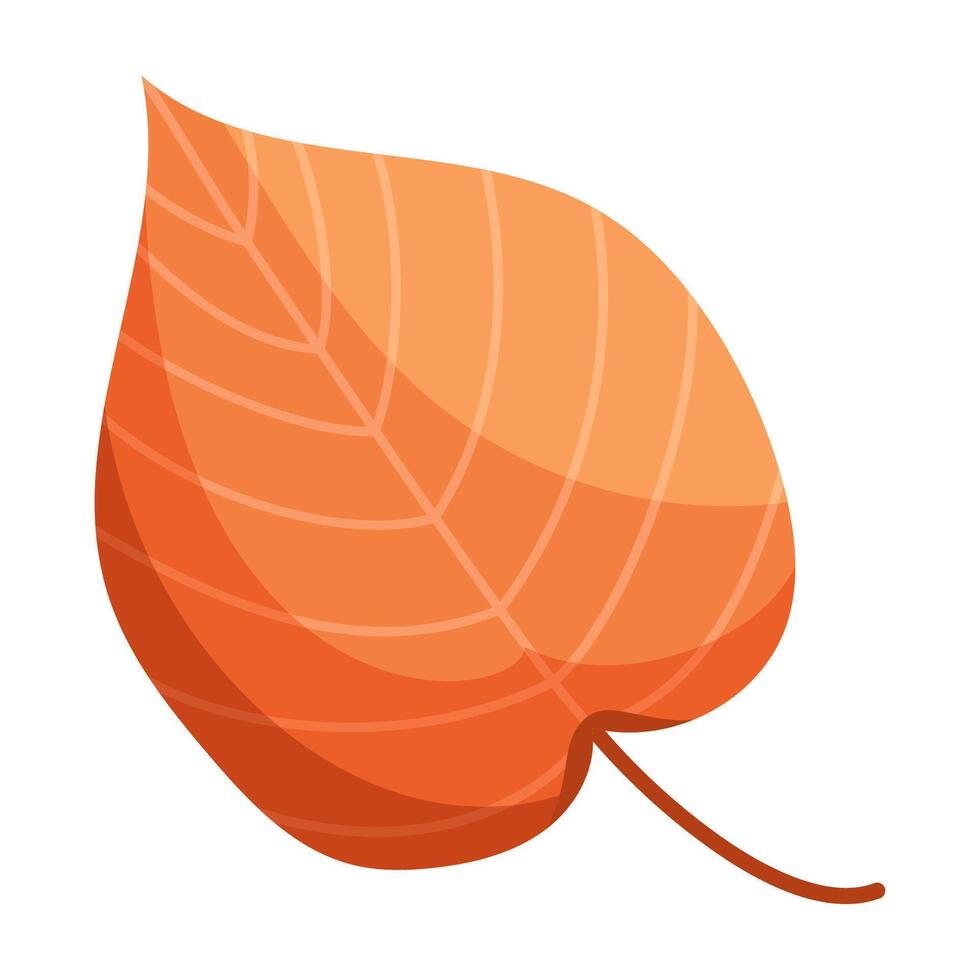 Orange autumn leaf vector