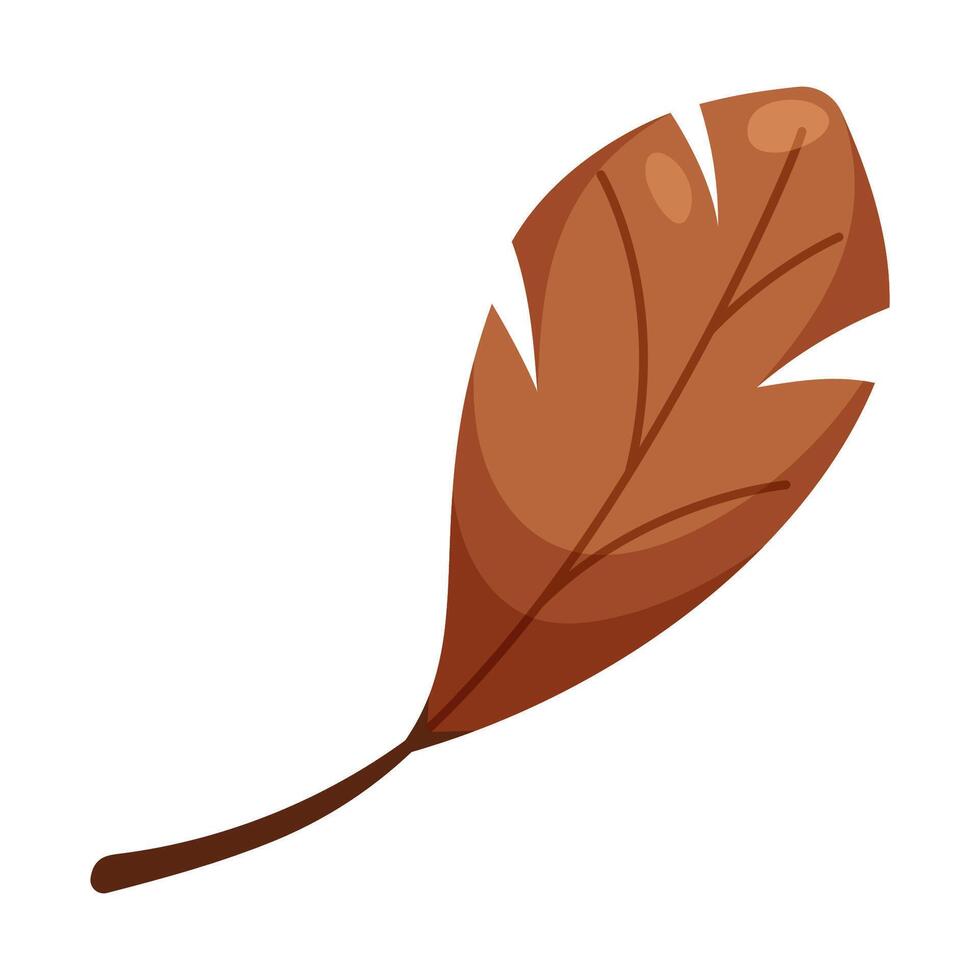 Brown autumn leaf vector