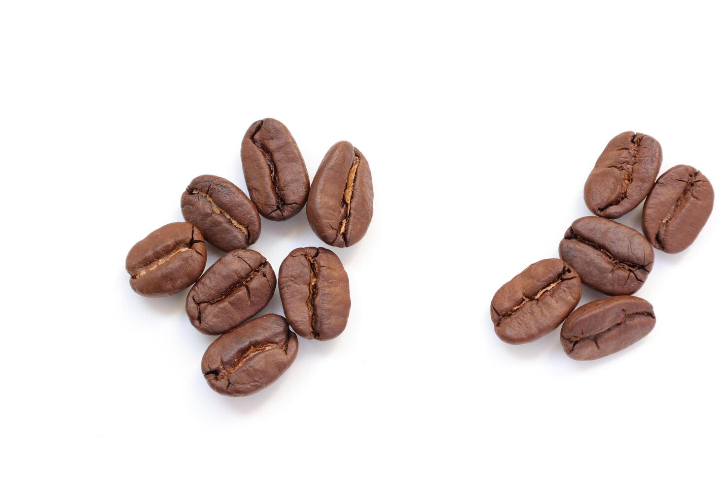 coffee beans on white background, coffee background photo