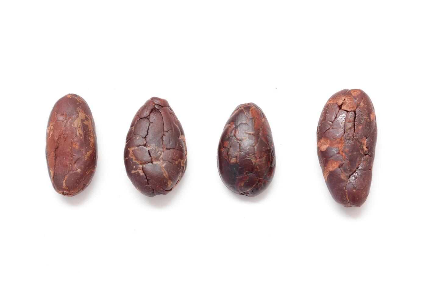 Cocoa bean, Brown cocoa beans isolated on white background photo