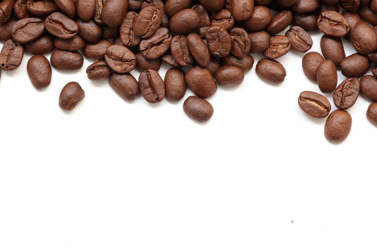 Isolated of coffee bean, Brown roasted coffee beans seeds isolated, coffee bean isolate, white background, bean isolated on white. photo