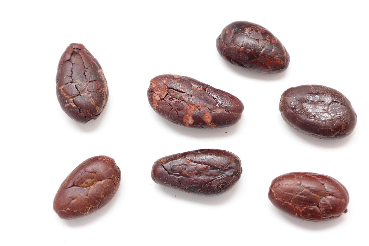 Cocoa beans isolated, Brown cocoa beans on white background photo