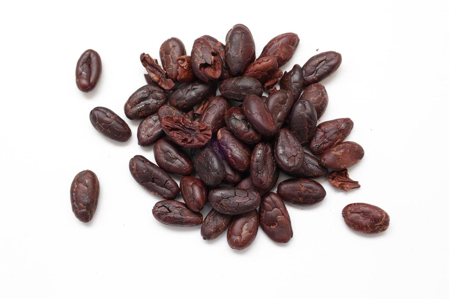Isolated of cocoa beans, Brown cocoa beans on white background photo