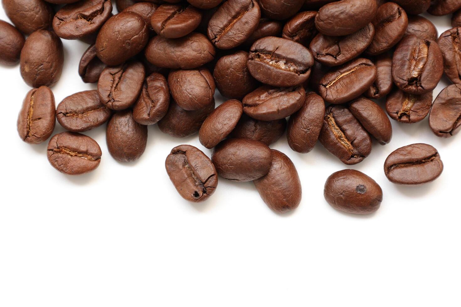 Isolated of coffee bean, Brown roasted coffee beans seeds isolated, coffee bean isolate, white background, bean isolated on white backdrop photo
