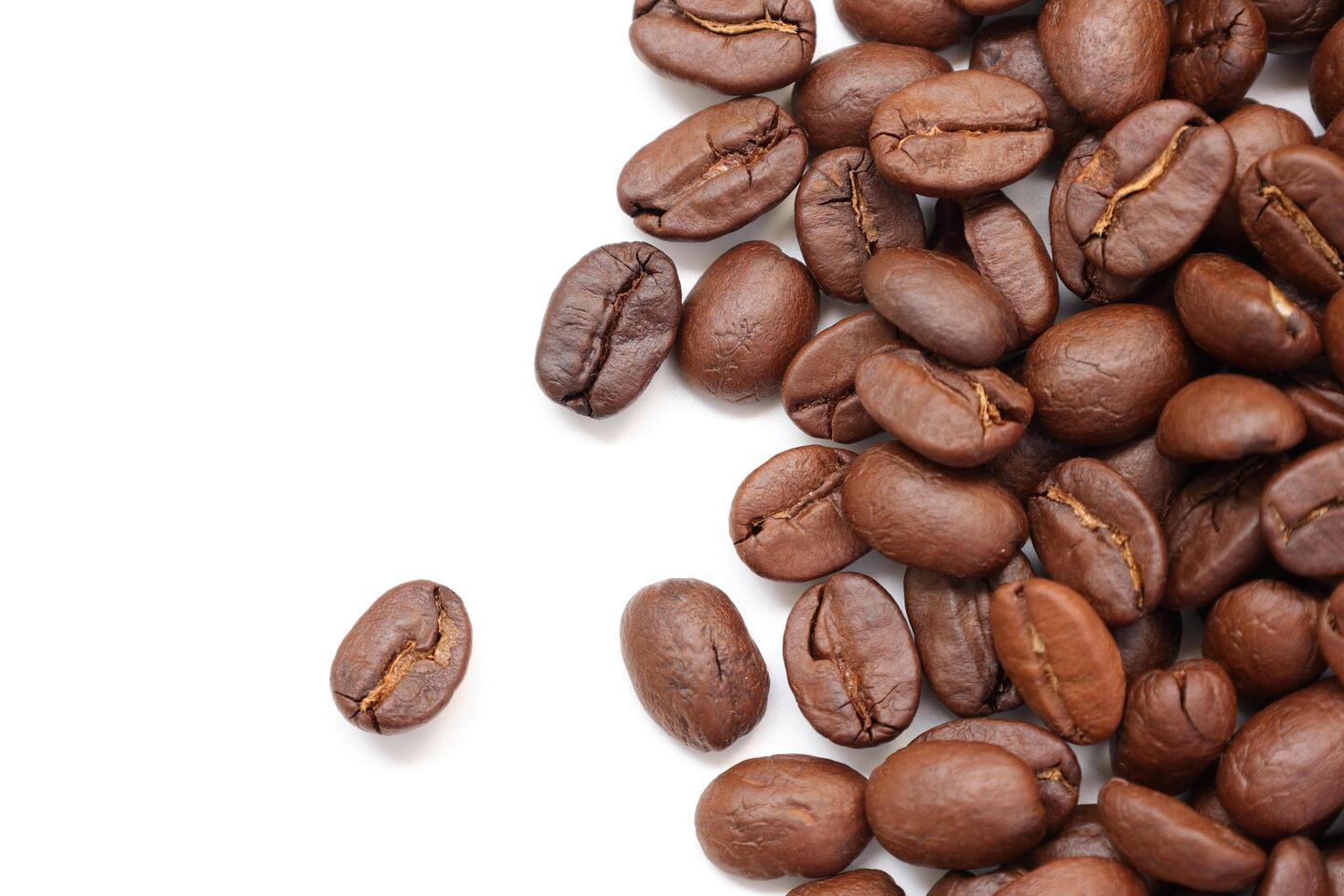 Isolate of coffee bean, Brown roasted coffee beans seeds isolated, coffee bean isolate, white background, bean isolated on white photo