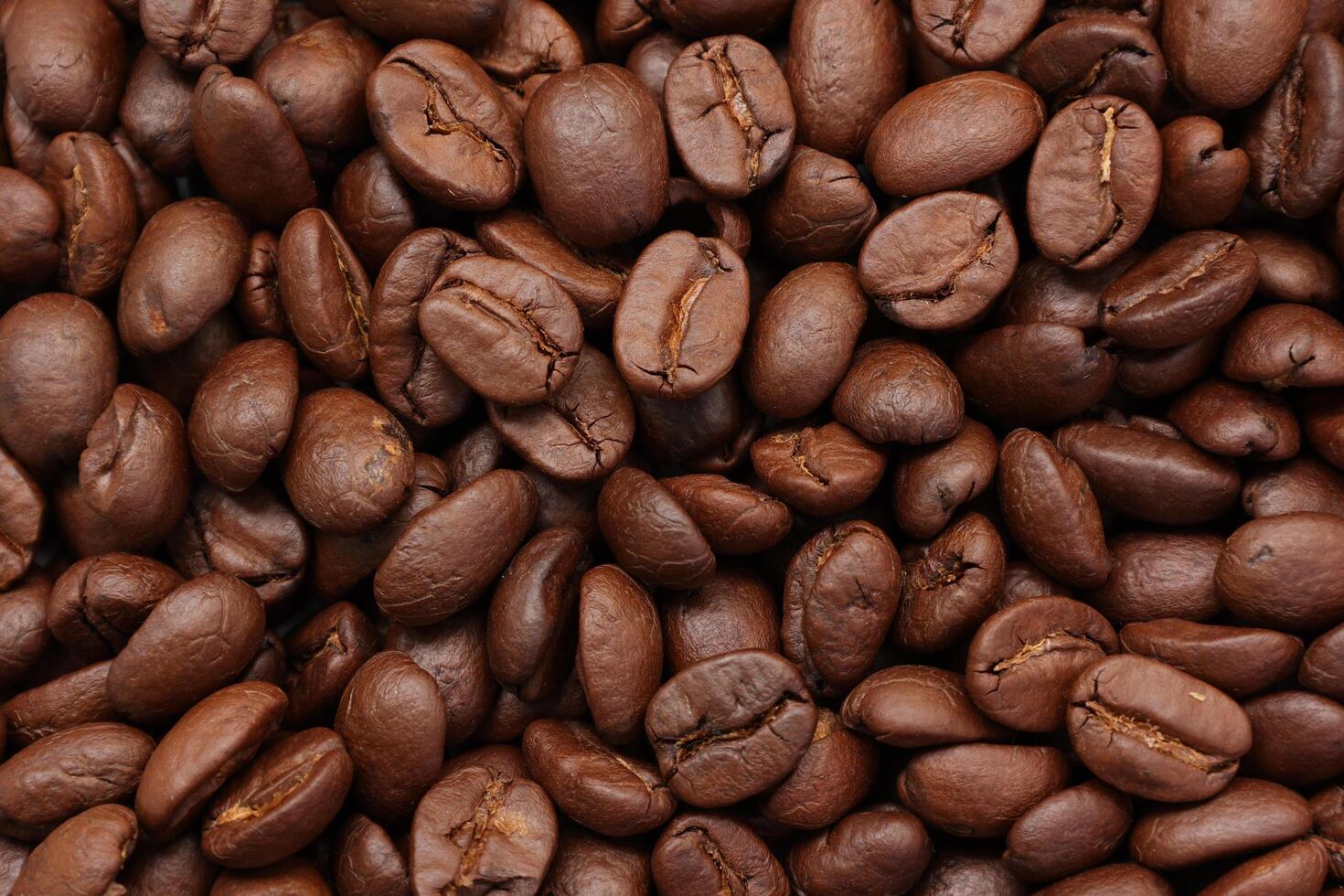 coffee beans are shown in this image photo
