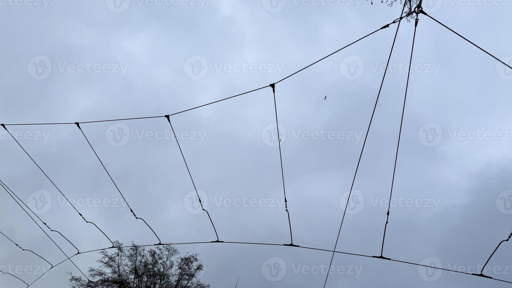 Wind weary netting embraces the moody sky, whispering of forgotten kite festivals and elusive dreams caught mid air photo