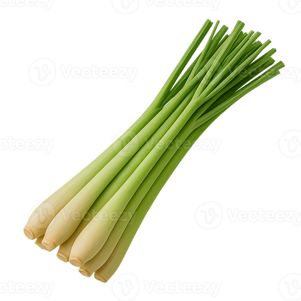 Fresh Lemongrass Stalks Isolated on Transparent Background png