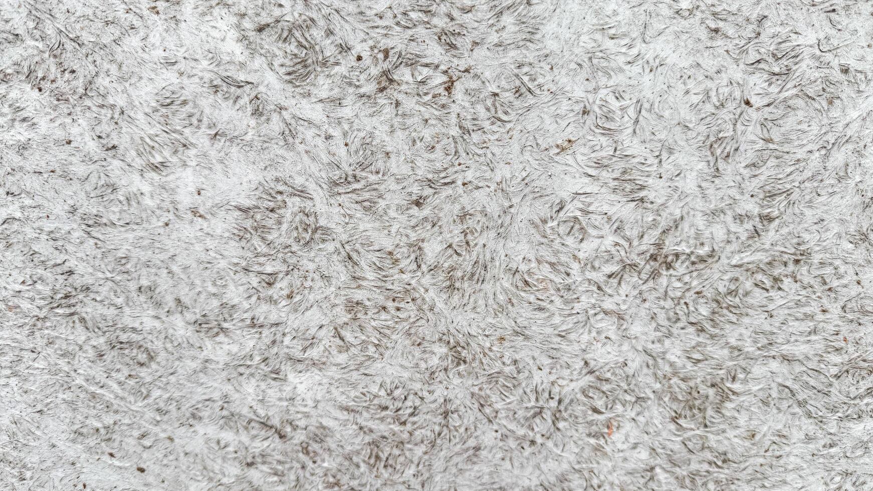 Rough textured surface evokes aged parchment vibes, perfect for exploring obscure traditions like Catterns Day or Soyal photo