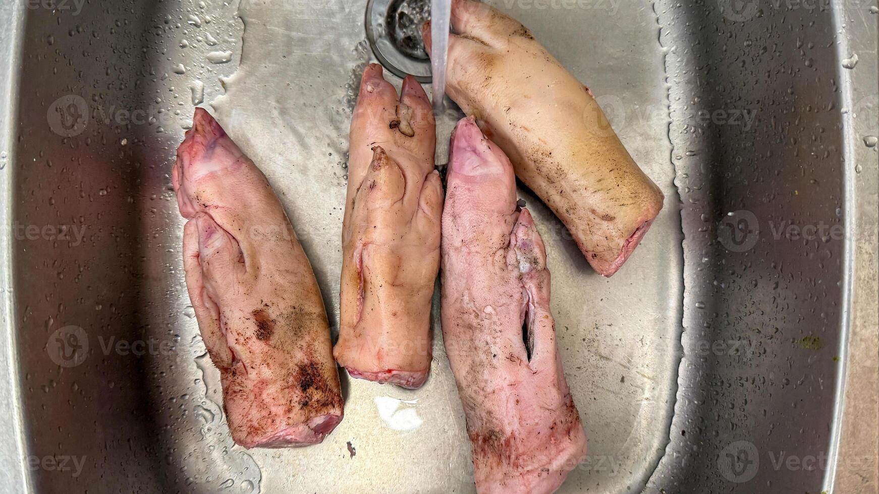 Pig trotters in stainless sink, rustic culinary preparation, nose to tail dining, traditional soul food, Lunar New Year delicacy photo