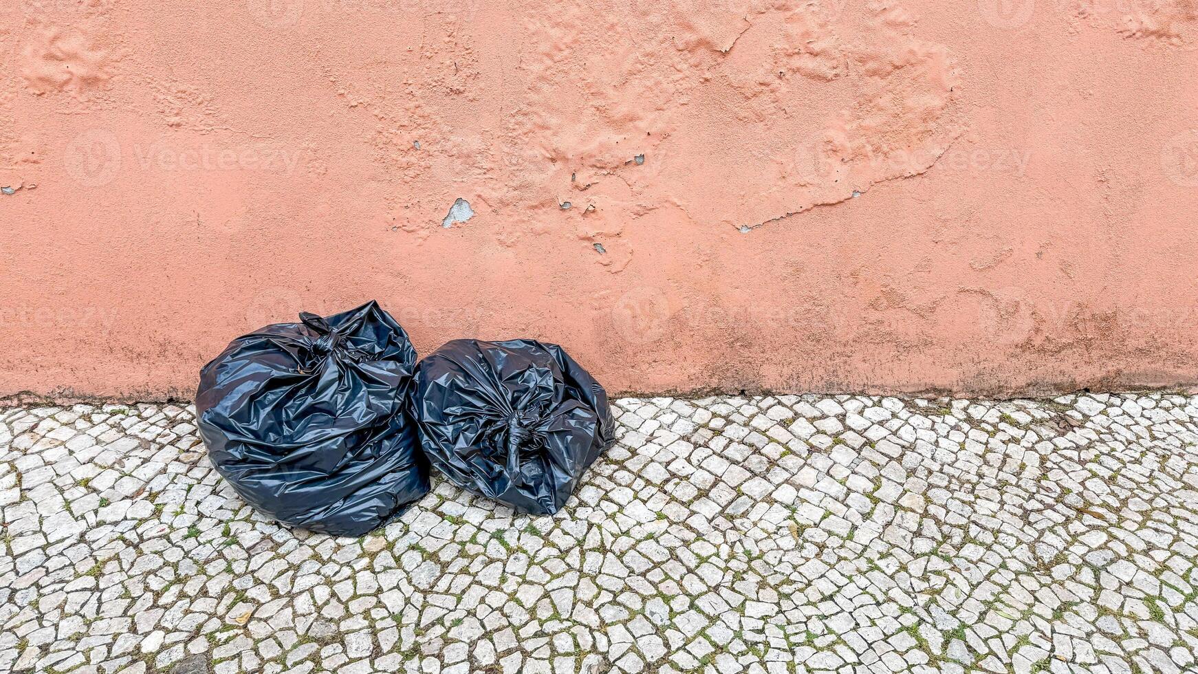 Two shadowy trash bags huddle against a dusky wall, whispering tales of urban decay and Earth Day reflections photo